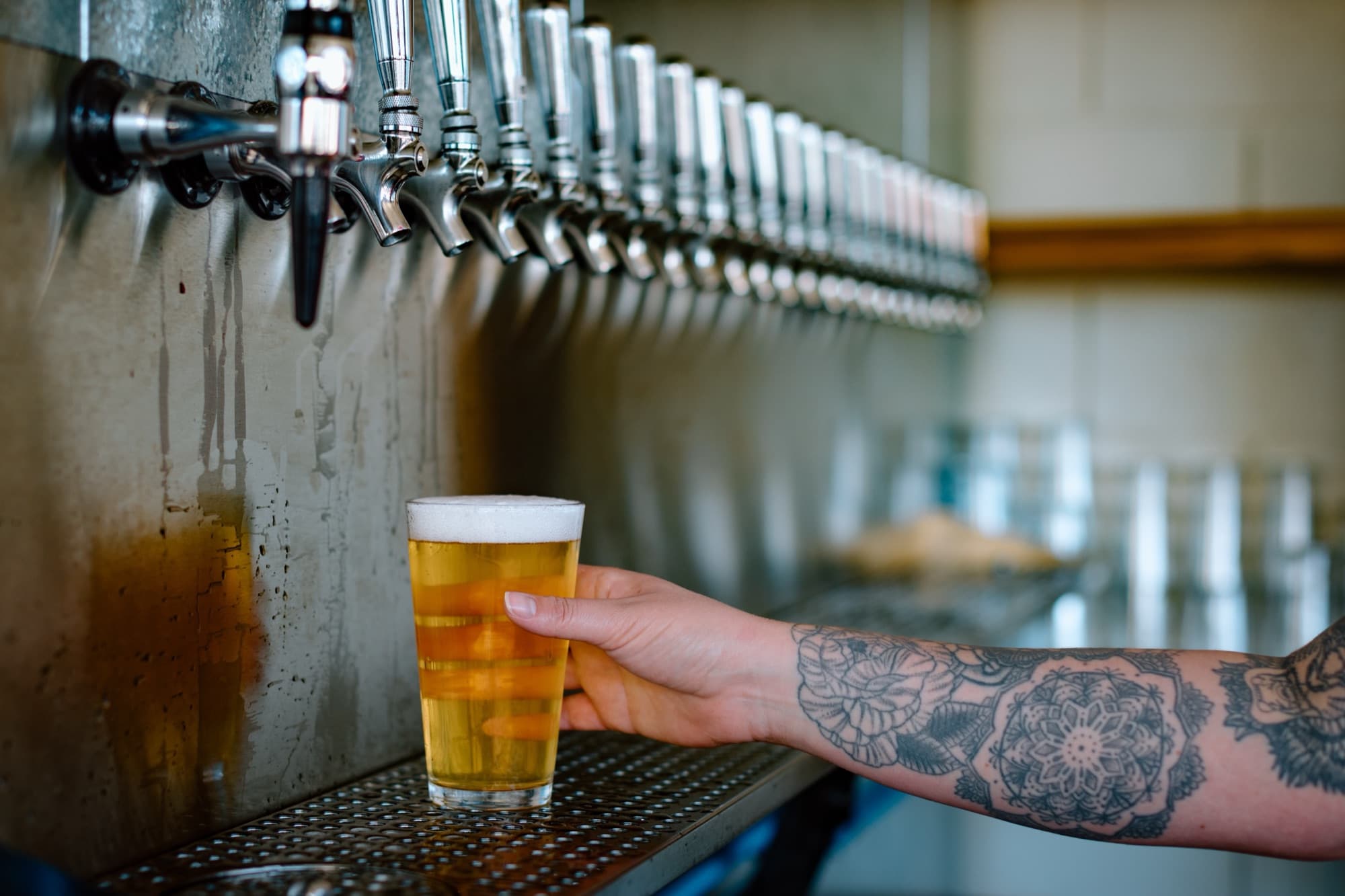 A fresh lager poured at the tap wall